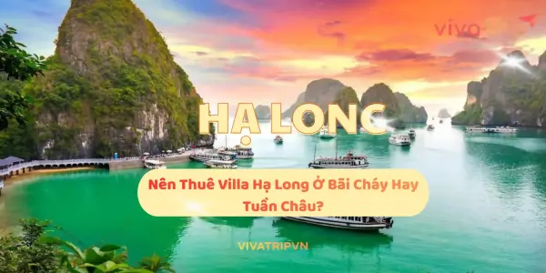 Nên thuê villa Hạ Long ở Bãi Cháy hay Tuần Châu? Bảng so sánh nhanh theo lịch trình 2–3 ngày