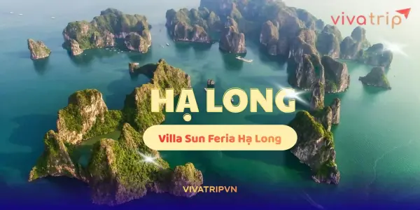 Villa Sun Feria Hạ Long: phù hợp gia đình hay nhóm bạn? Tiêu chí chọn căn và lưu ý khi đặt