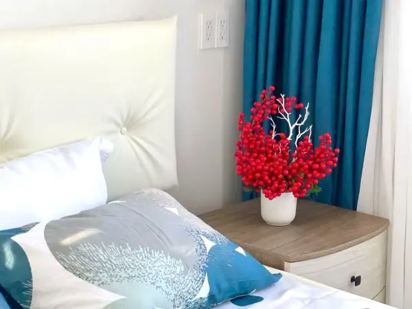 Ảnh Viva NovaWorld PT35 - 2