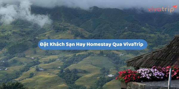 Đặt khách sạn hay homestay qua Vivatrip: chọn loại lưu trú nào đúng nhu cầu?