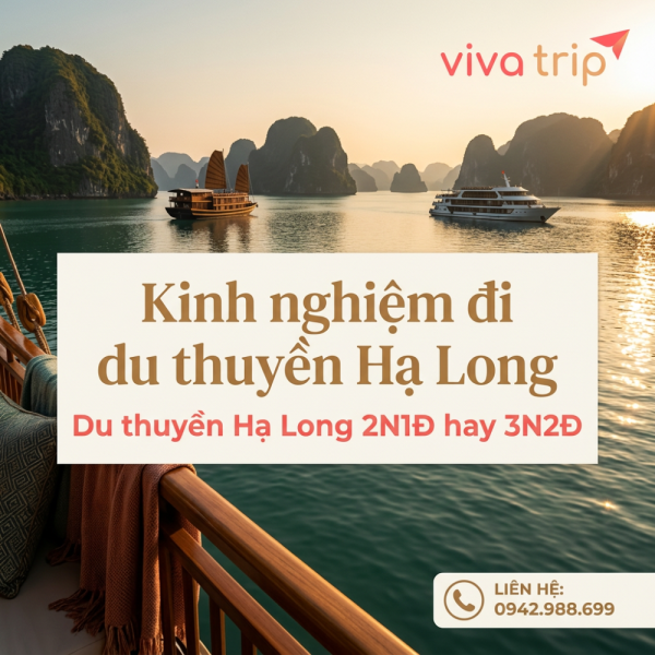 Du thuyền Hạ Long 2N1Đ hay 3N2Đ: Chọn Đúng Theo Nhóm Của Bạn, Không Phải Theo Giá