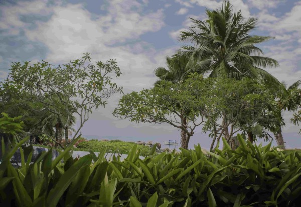 Ảnh Alibu Resort