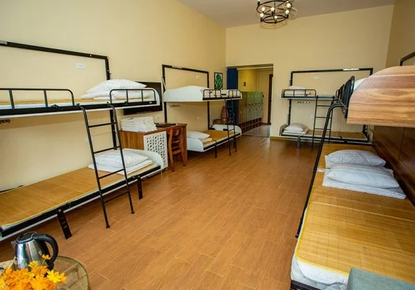 Ảnh chi tiết phòng an-lac-resort-phong-gia-dinh-hoa-man-vivatrip-03.webp