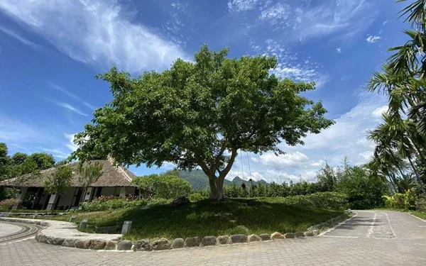 Ảnh An Lạc Resort - 11