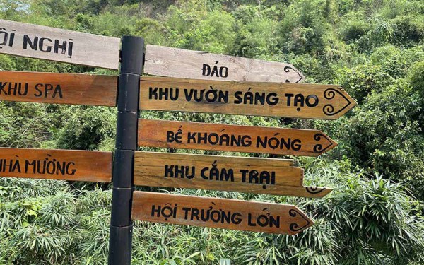 Ảnh -18