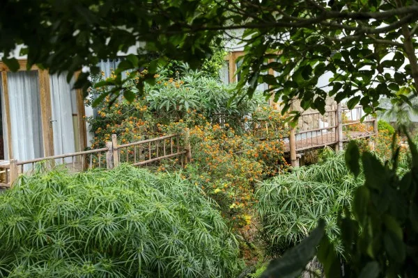 Ảnh chi tiết phòng bakhan-village-resort-mai-chau-deluxe-room-vivatrip-02.webp