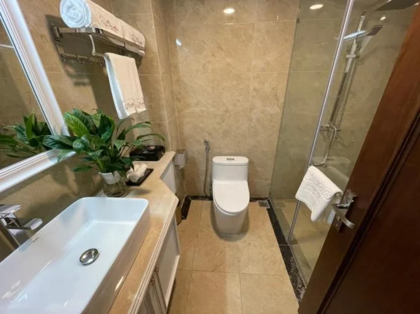 Ảnh chi tiết phòng camellia-luxury-hotel-tam-dao-phong-superior-vivatrip-03.webp