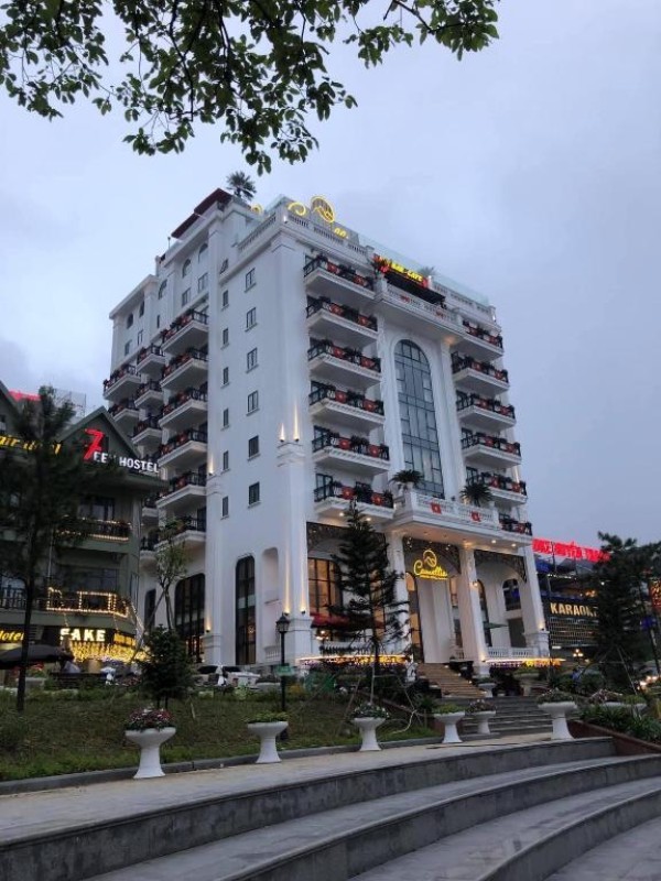 Ảnh -9