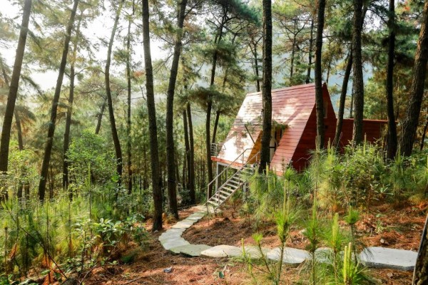 Ảnh chi tiết phòng cat-ba-eco-lodge-resort-chalet-giuong-doi-2-giuong-don-vivatrip.jpg