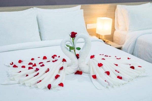 Ảnh Cat Ba Violet Hotel