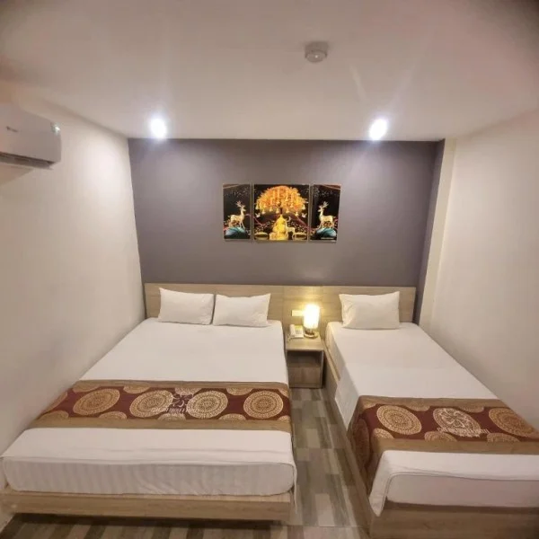 Ảnh Cat Ba Violet Hotel - 12