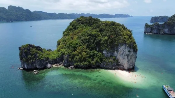 Ảnh Cat Ba Violet Hotel - 15