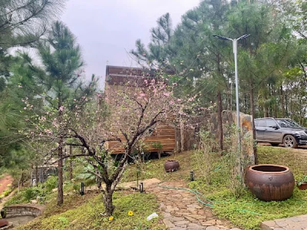 Ảnh Viva S002 - Sân Pickleball - 22