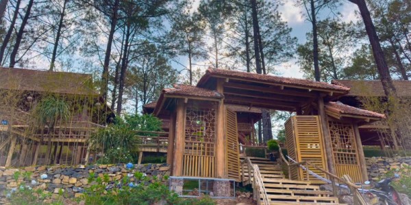 Ảnh người dùng đánh giá