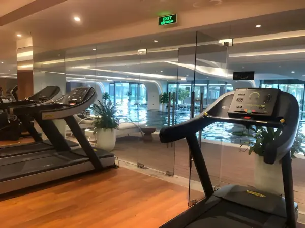 Ảnh Dream Dragon - 7