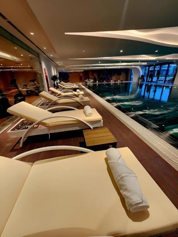 Ảnh Dream Dragon - 12