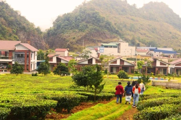 Ảnh Emopea Mộc Châu