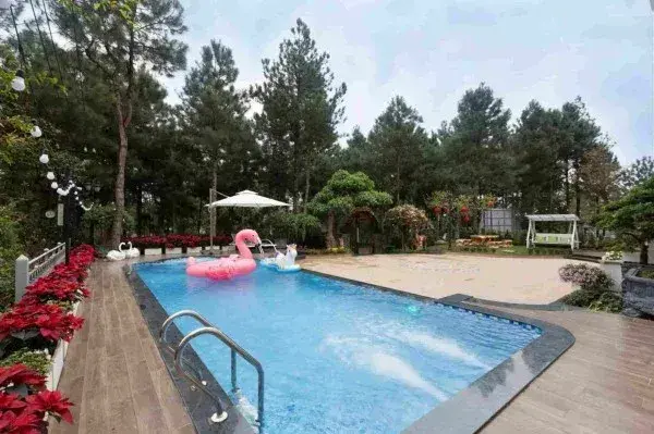 Ảnh H210 Flamingo Đại Lải - 7