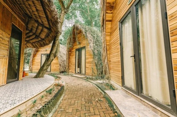 Ảnh Hang Múa Ecolodge (Mua Caves Ecolodge) Ninh Bình - 10