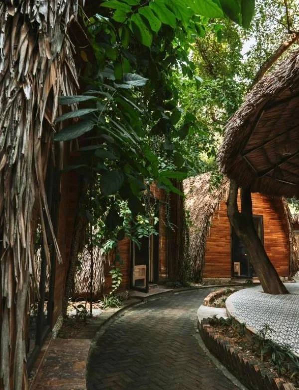 Ảnh Hang Mua Ecolodge