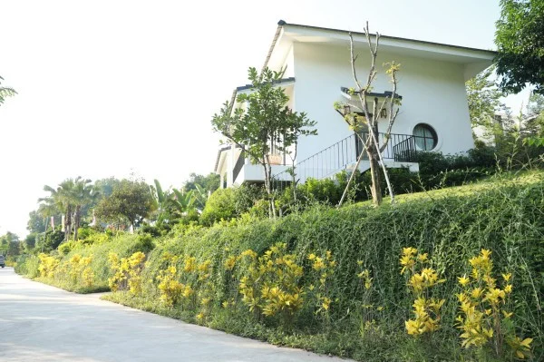 Ảnh Hasu Village Hòa Bình - 11