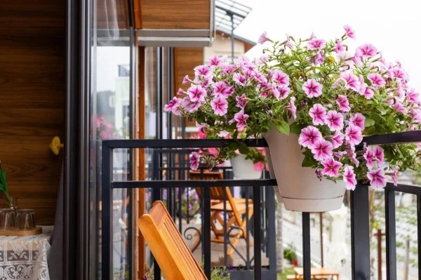 Ảnh The Melody Mộc Châu