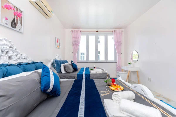 Ảnh Viva VT08 - 13