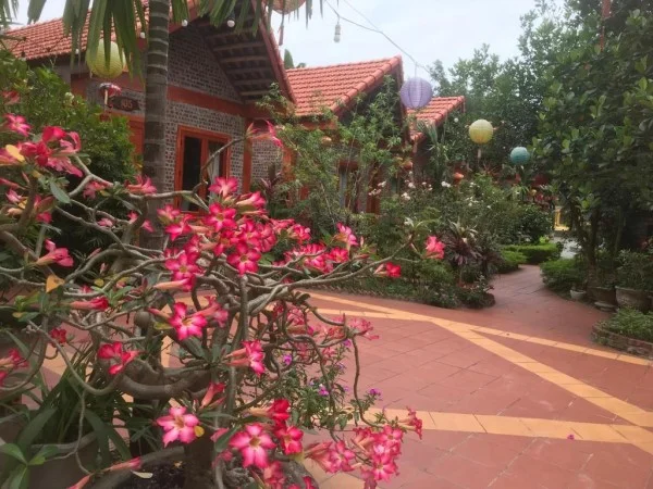 Ảnh Viva Homestay N13 - 10