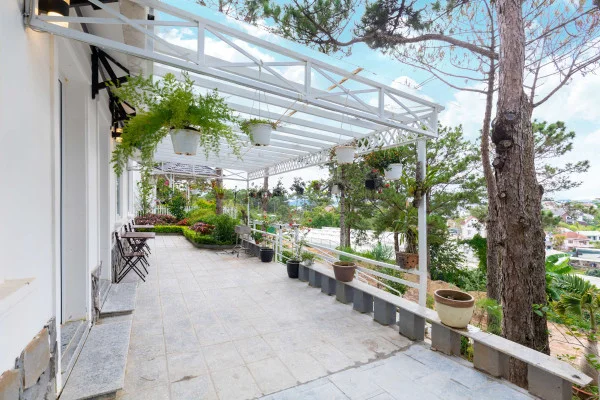 Ảnh Viva ĐL48 - 10