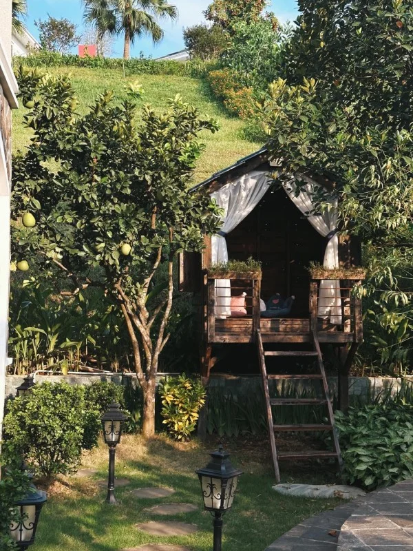 Ảnh Viva HB05 - 21