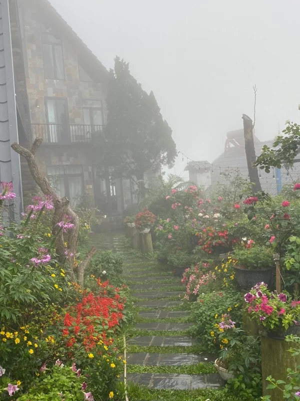 Ảnh Viva Homestay T1 - 7