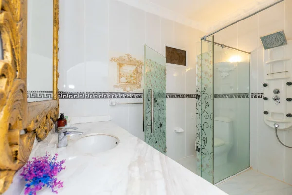 Ảnh Viva VT191 - 54