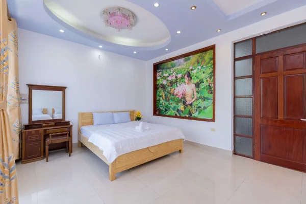 Ảnh Viva VT44 - 15