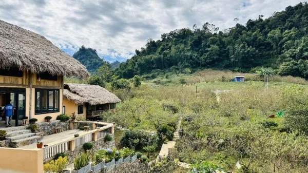 Ảnh Viva Homestay MC 08 - 15