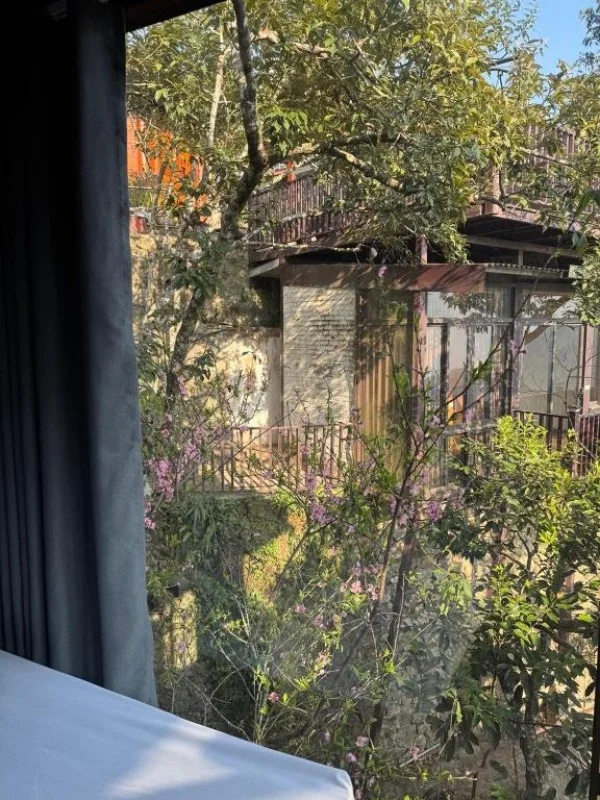 Ảnh Viva Homestay T4 - 12