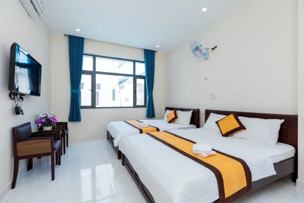 Ảnh Viva VT31 - 23