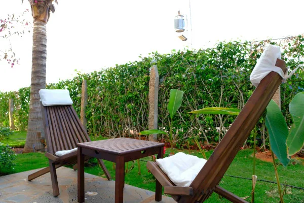 Ảnh Viva PT06 - 55