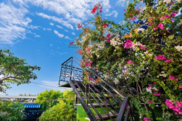 Ảnh Số 5 Nguyễn Đình Tứ - 9