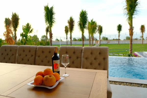 Ảnh Viva PT09 - 35