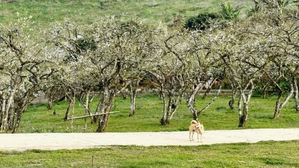 Ảnh Viva Homestay MC 08 - 13