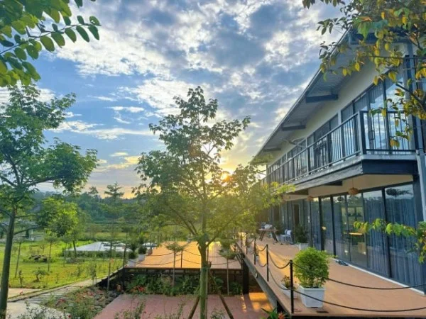 Ảnh Viva BVMT - Sân Pickleball