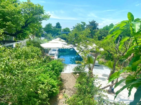 Ảnh Viva HB19 - 20