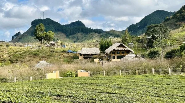 Ảnh Viva Homestay MC 08