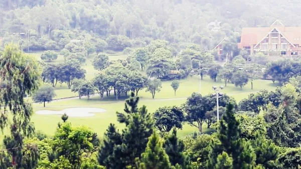 Ảnh Viva TĐ33 - 13