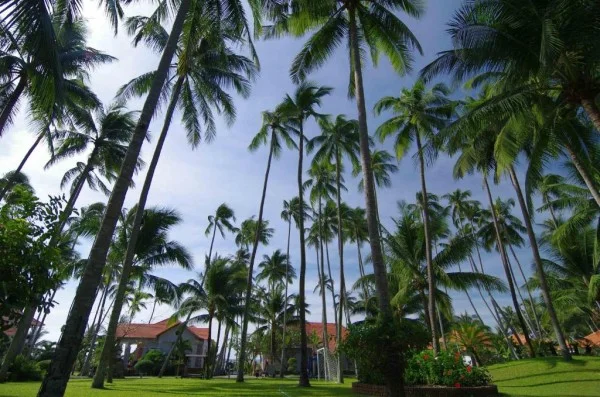 Ảnh Muine Century Resort & Spa - 7