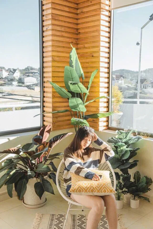 Ảnh Viva ĐL23 - 14