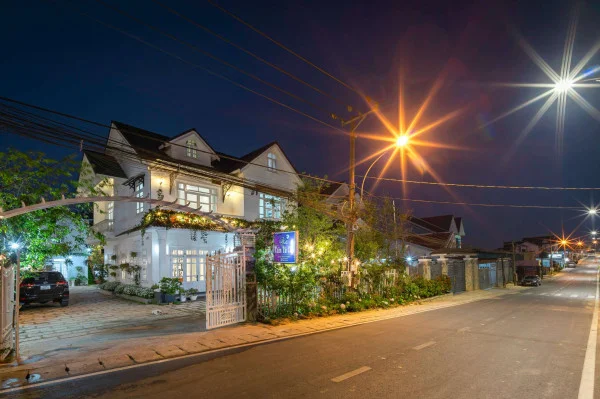 Ảnh Cẩm Tú Cầu 2 - 38