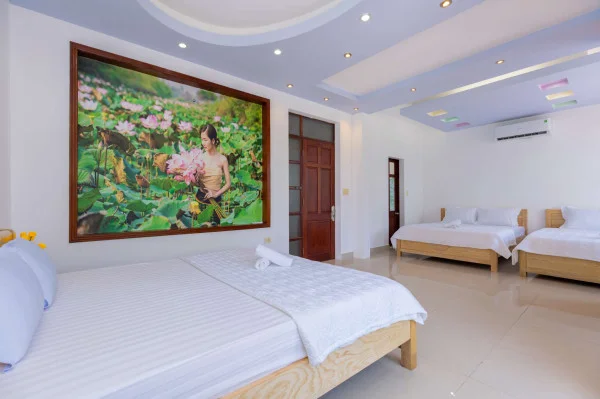 Ảnh Viva VT44 - 14