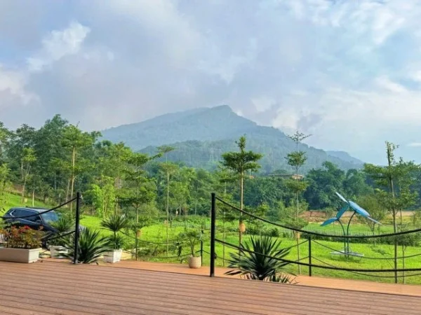 Ảnh Viva BVMT - Sân Pickleball - 7