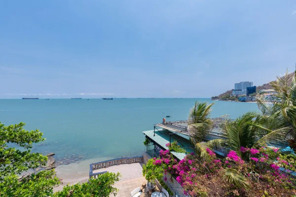 Ảnh Viva VT191 - 57